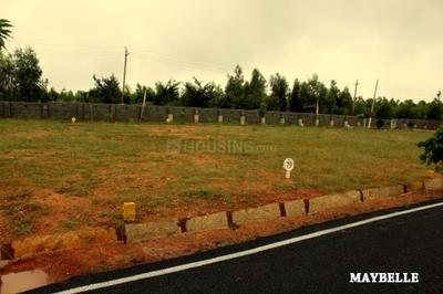 Project Image of 813.0 - 3810.0 Sq.ft Residential Plot Plot for buy in Sizzle Maybelle Block 2