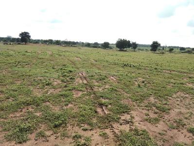 Project Image of 1319.98 - 3657.79 Sq.ft Residential Plot Plot for buy in Building True Greens 3 Phase 2