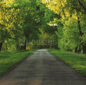 Project Image of 0.0 - 143547.51 Sq.ft Residential Plot Plot for buy in TGH Total Green Homes