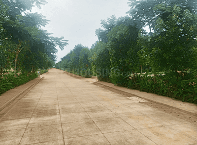 Project Image of 0.0 - 143547.51 Sq.ft Residential Plot Plot for buy in TGH Total Green Homes