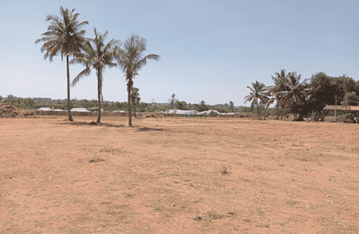 Project Image of 1200.0 - 1500.0 Sq.ft Residential Plot Plot for buy in Merusri Serenova