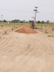 Project Image of 1089.0 - 3267.0 Sq.ft Agricultural Land Agricultural Land for buy in Sahuri Green Leaf