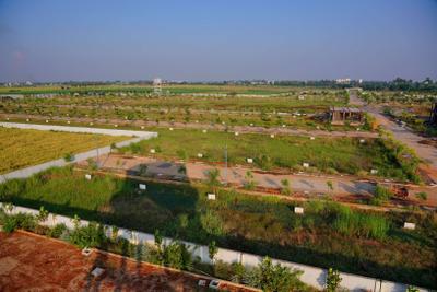 Project Image of 1602.0 - 3024.0 Sq.ft Residential Plot Plot for buy in Sri Bhramara Plots