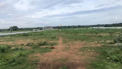 Project Image of 1503.0 - 2025.0 Sq.ft Residential Plot Plot for buy in Mynenis Lemon Valley