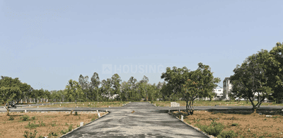 Project Images