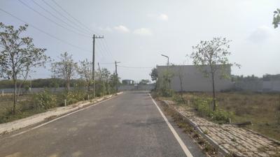 Silver Field Phase 2 Elevation 2