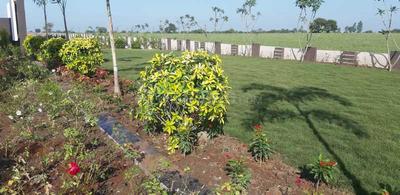Ideal Paramount City Amenities 4