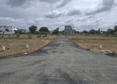 Project Images