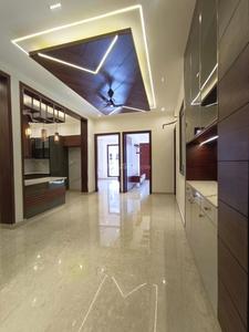 Project Image of 1300.0 - 3950.0 Sq.ft 3 BHK Builder Floor for buy in Shinee PJ Right Move Estate Buildwell