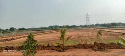 Project Image of 2178.0 - 10890.0 Sq.ft Residential Plot Plot for buy in Eagle Dhanalakshmi Grandeur