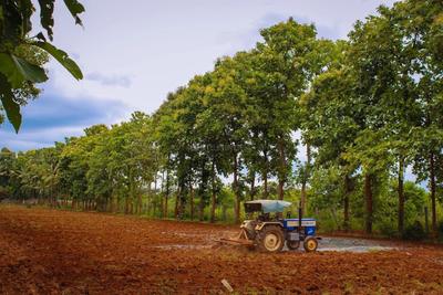 Project Image of 5445.0 - 10890.0 Sq.ft Residential Plot Plot for buy in Krushika Thusha Farms
