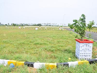Project Images