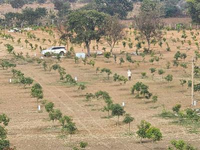 Project Image of 1089.0 - 5445.0 Sq.ft Residential Plot Plot for buy in Lotus Kalpavruksha Farm Plots