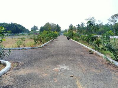 Project Image of 752.0 - 2415.0 Sq.ft Residential Plot Plot for buy in Staar RV Garden