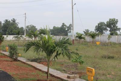 Project Image of 1200.0 - 1500.0 Sq.ft Residential Plot Plot for buy in Vilara Inn