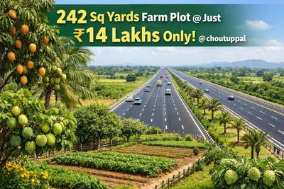 Project Image of 1089.0 - 5445.0 Sq.ft Residential Plot Plot for buy in Sreeja Farm Land