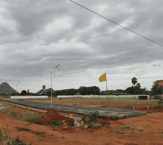 Project Images