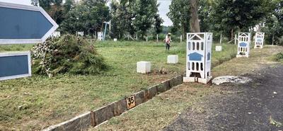 Project Image of 1200.0 - 1340.0 Sq.ft Residential Plot Plot for buy in Adhya Chaitanya Green City