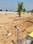 Maruthi Sea View Farm Land Plot 2