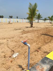 Project Image of 9600.0 - 13020.0 Sq.ft Residential Plot Plot for buy in Maruthi Sea View Farm Land