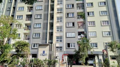 Project Image of 1008.0 - 1390.0 Sq.ft 2 BHK Apartment for buy in Newry Celio