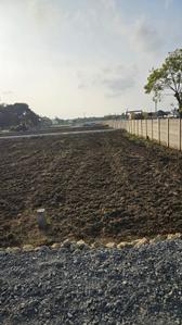 Project Image of 748.0 - 1319.0 Sq.ft Residential Plot Plot for buy in Dhilli Saranya Avenue