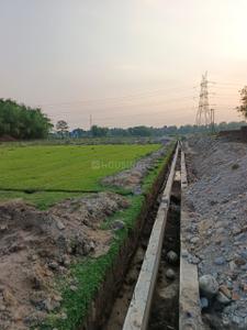 Project Image of 1823.0 - 2916.0 Sq.ft Residential Plot Plot for buy in Destifine Township