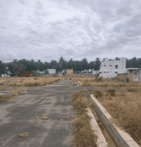 Project Images