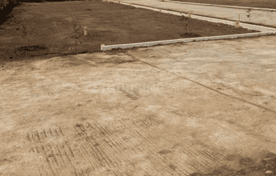 Project Images