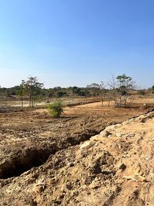 Project Image of 5000.0 - 15000.0 Sq.ft Residential Plot Plot for buy in Sanvi Sandalwood