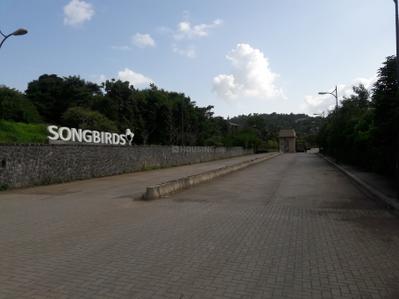 Project Image of 640.0 - 2003.0 Sq.ft 2 BHK Apartment for buy in Skyi Songbirds 