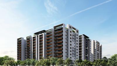 Risinia The Edge Elevation 1