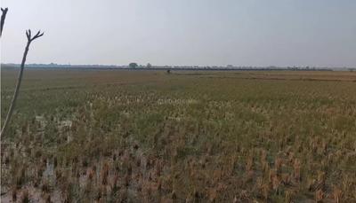 Project Image of 740.7 - 1389.6 Sq.ft Residential Plot Plot for buy in Himalaya Platinum City