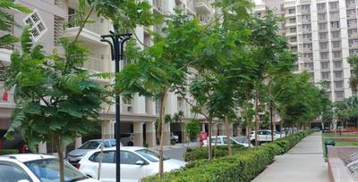 Project Image of 807.0 - 993.0 Sq.ft 2 BHK Apartment for buy in Gardens Phase III B