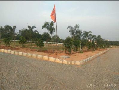 Project Images
