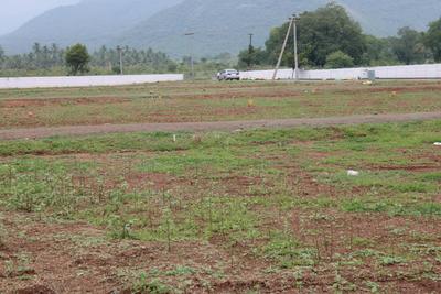Project Image of 806.0 - 2029.0 Sq.ft Residential Plot Plot for buy in VS Avenue