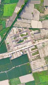 Project Image of 800 Sq.ft Residential Plot / Land for sale in Dadri for Rs. 2405010