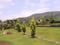Forisaqua Phase 2 Landscape Garden and Tree Planting 2