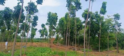 Project Image of 1503.0 - 4500.0 Sq.ft Residential Plot Plot for buy in Lotus Heaven