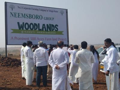Project Image of 0.0 - 5445.0 Sq.ft Residential Plot Plot for buy in Neemsboro Wood Land