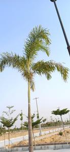 Project Image of 120 Sq.ft Residential Plot / Land for sale in Chinna Shivnoor for Rs. 1800000