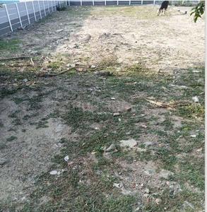 Project Image of 2191.96 - 3910.96 Sq.ft Residential Plot Plot for buy in Hi Living Marina