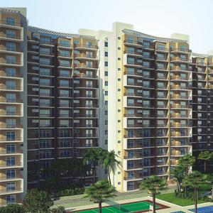 Gallery Cover Pic of Avalon Rosewood