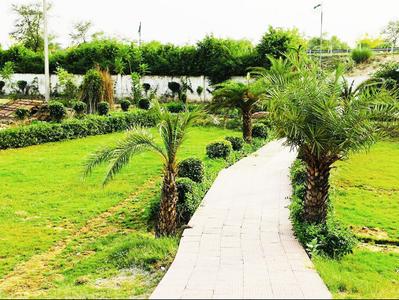 Project Image of 450.0 - 10350.0 Sq.ft Residential Plot Plot for buy in Shubham Jewar City