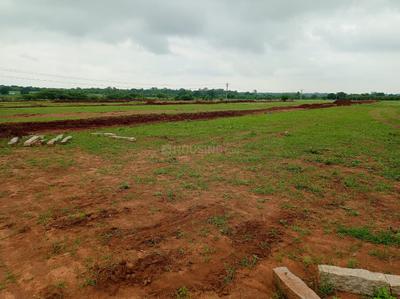 Project Image of 1319.87 - 2789.9 Sq.ft Residential Plot Plot for buy in Building True Gold 2 Phase 8