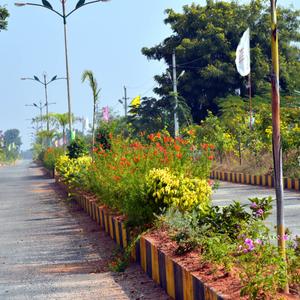 Project Image of 1485.0 - 2025.0 Sq.ft Residential Plot Plot for buy in JSR Sri Kailash