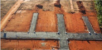 Project Images