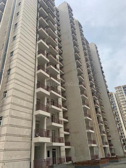 Aims Green Avenue - Image 4