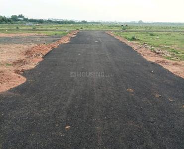 Project Images