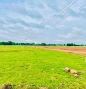Project Image of 1350.0 - 4500.0 Sq.ft Residential Plot Plot for buy in Vian Valley